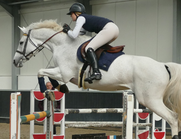 showjumping_5