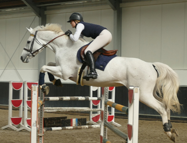 showjumping_6